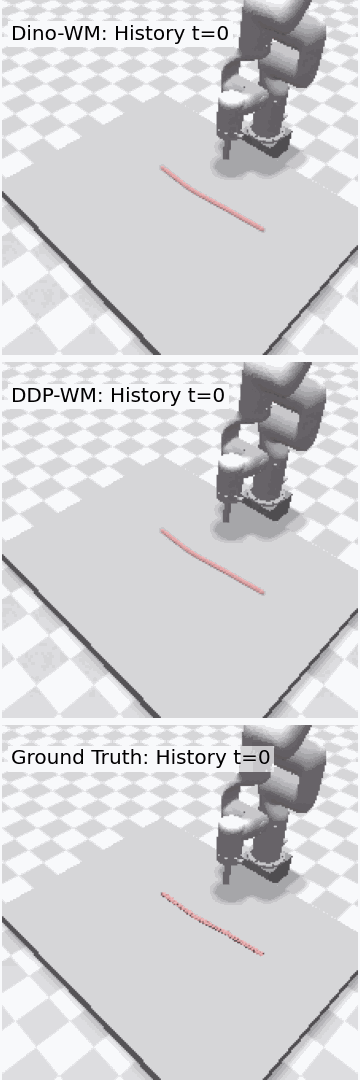 Rope rollout sample 2